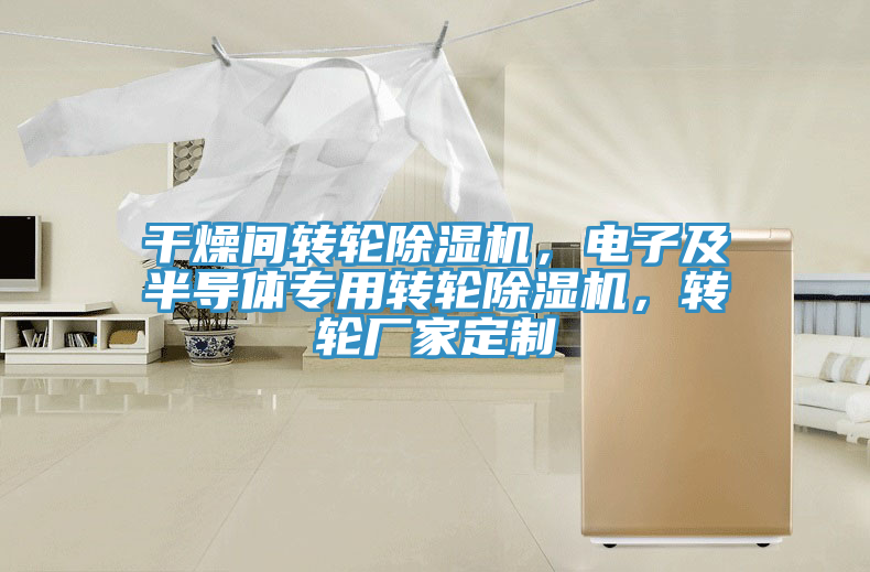 干燥間轉(zhuǎn)輪除濕機，電子及半導(dǎo)體專用轉(zhuǎn)輪除濕機，轉(zhuǎn)輪廠家定制