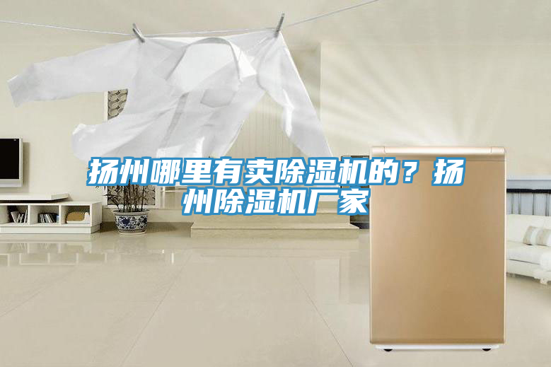揚州哪里有賣除濕機的？揚州除濕機廠家