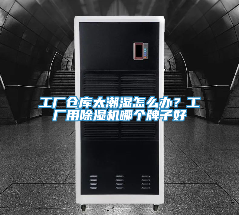 工廠倉(cāng)庫(kù)太潮濕怎么辦？工廠用除濕機(jī)哪個(gè)牌子好