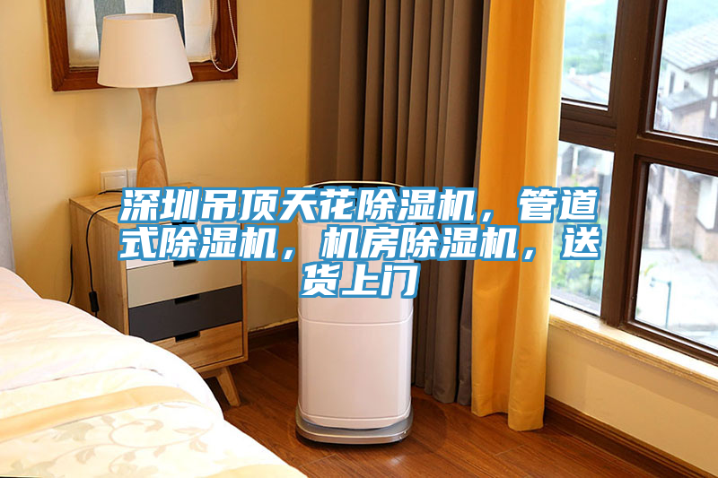 深圳吊頂天花除濕機(jī)，管道式除濕機(jī)，機(jī)房除濕機(jī)，送貨上門(mén)