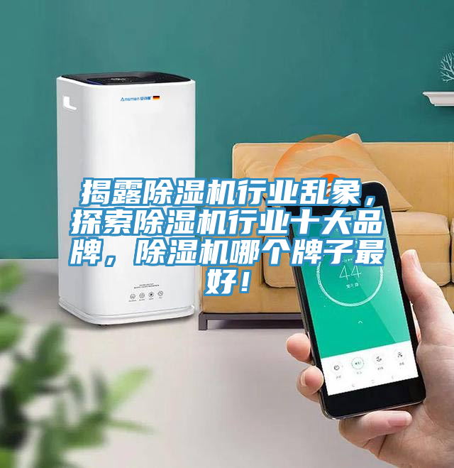 揭露除濕機(jī)行業(yè)亂象，探索除濕機(jī)行業(yè)十大品牌，除濕機(jī)哪個(gè)牌子最好！
