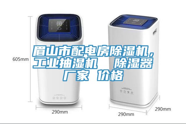 眉山市配電房除濕機，工業(yè)抽濕機  除濕器廠家 價格