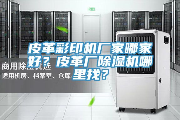 皮革彩印機廠家哪家好？皮革廠除濕機哪里找？