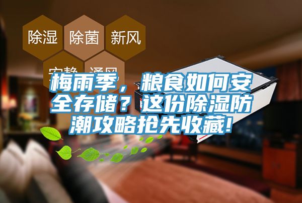 梅雨季，糧食如何安全存儲(chǔ)？這份除濕防潮攻略搶先收藏!