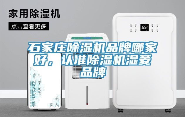 石家莊除濕機品牌哪家好，認準除濕機濕菱品牌