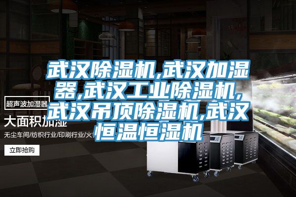 武漢除濕機,武漢加濕器,武漢工業(yè)除濕機,武漢吊頂除濕機,武漢恒溫恒濕機