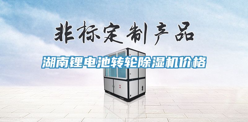 湖南鋰電池轉(zhuǎn)輪除濕機(jī)價格