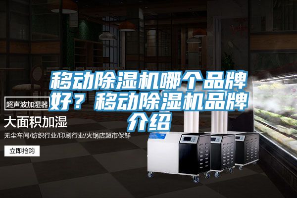 移動除濕機哪個品牌好？移動除濕機品牌介紹