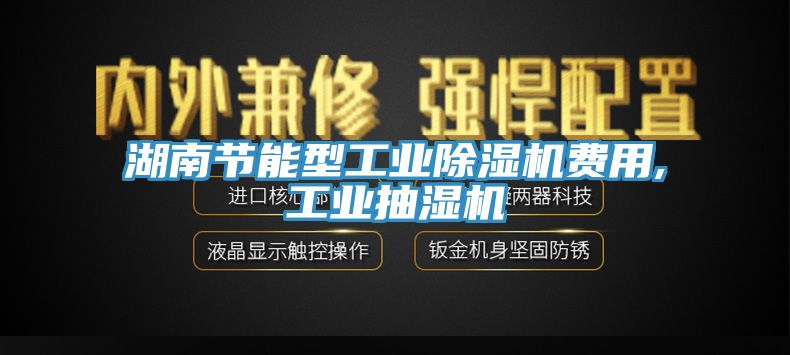 湖南節(jié)能型工業(yè)除濕機(jī)費用,工業(yè)抽濕機(jī)