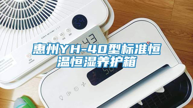 惠州YH-40型標準恒溫恒濕養(yǎng)護箱