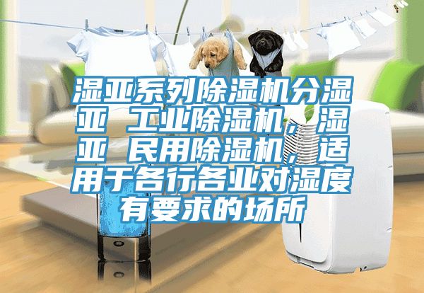 濕亞系列除濕機(jī)分濕亞 工業(yè)除濕機(jī)，濕亞 民用除濕機(jī)，適用于各行各業(yè)對(duì)濕度有要求的場(chǎng)所