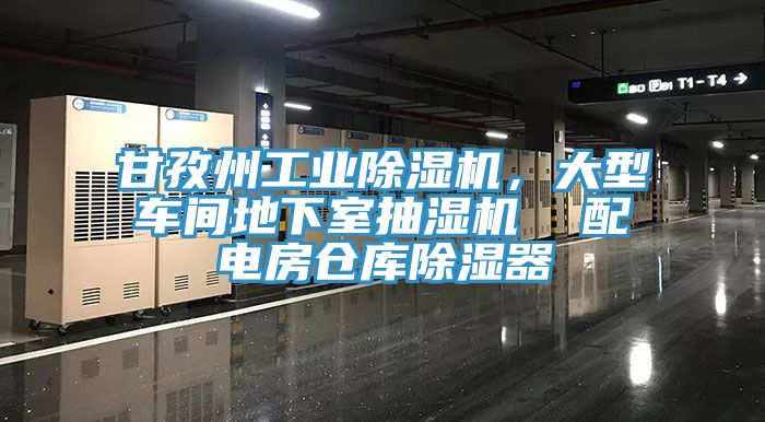 甘孜州工業(yè)除濕機(jī)，大型車間地下室抽濕機(jī)  配電房倉庫除濕器