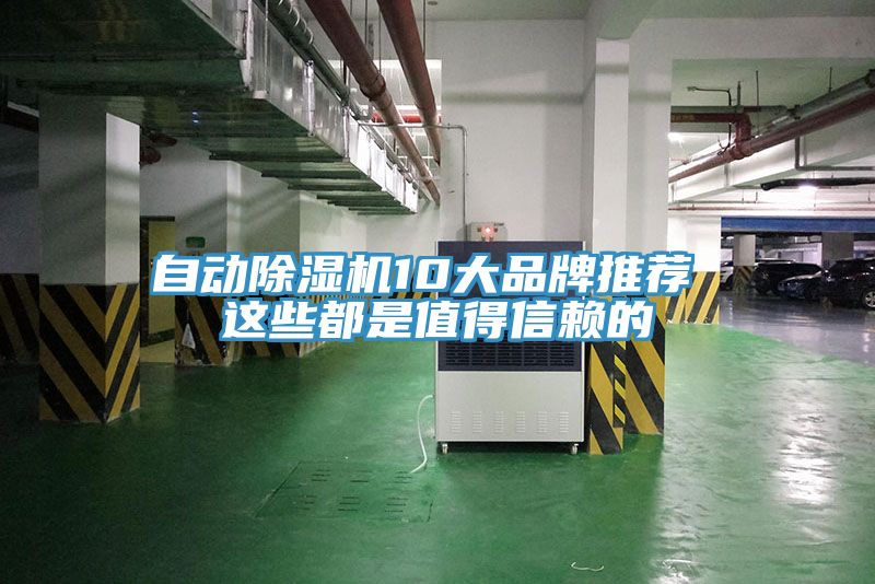 自動除濕機10大品牌推薦 這些都是值得信賴的