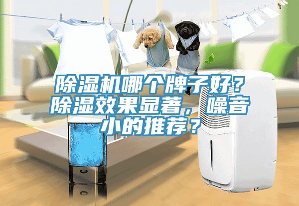 除濕機哪個牌子好？除濕效果顯著，噪音小的推薦？