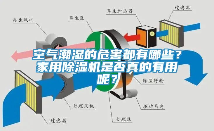 空氣潮濕的危害都有哪些？家用除濕機是否真的有用呢？