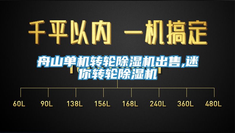 舟山單機轉輪除濕機出售,迷你轉輪除濕機