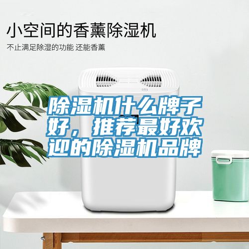 除濕機什么牌子好，推薦最好歡迎的除濕機品牌