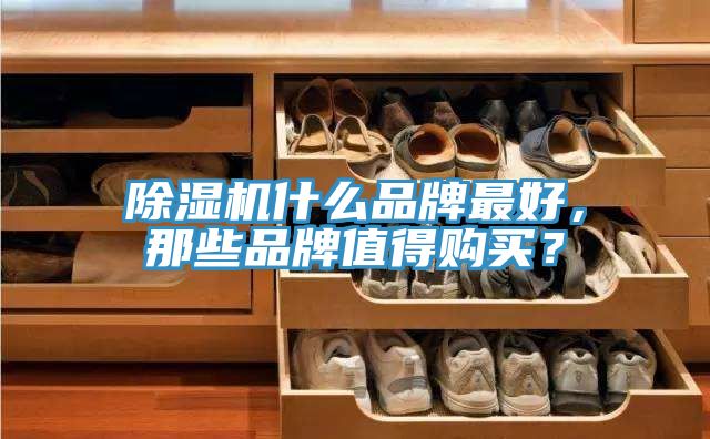 除濕機(jī)什么品牌最好，那些品牌值得購買？