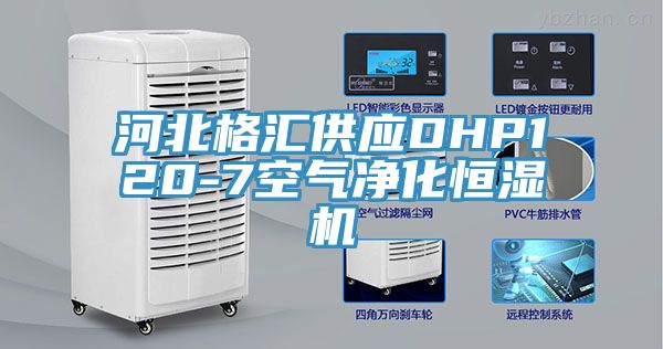 河北格匯供應DHP120-7空氣凈化恒濕機