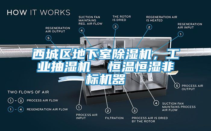 西城區(qū)地下室除濕機(jī)，工業(yè)抽濕機(jī)  恒溫恒濕非標(biāo)機(jī)器