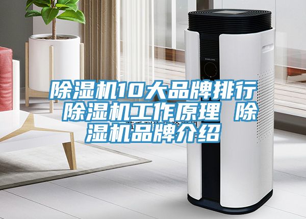 除濕機(jī)10大品牌排行 除濕機(jī)工作原理 除濕機(jī)品牌介紹