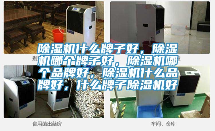 除濕機什么牌子好，除濕機哪個牌子好，除濕機哪個品牌好，除濕機什么品牌好，什么牌子除濕機好