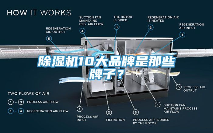 除濕機10大品牌是那些牌子？