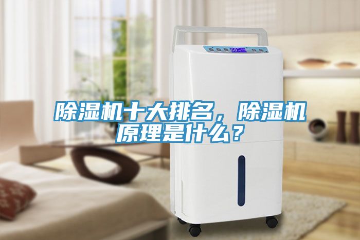 除濕機十大排名，除濕機原理是什么？