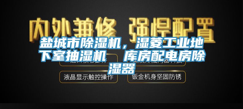 鹽城市除濕機，濕菱工業(yè)地下室抽濕機  庫房配電房除濕器