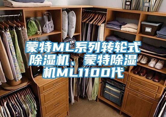 蒙特ML系列轉(zhuǎn)輪式除濕機、蒙特除濕機ML1100代