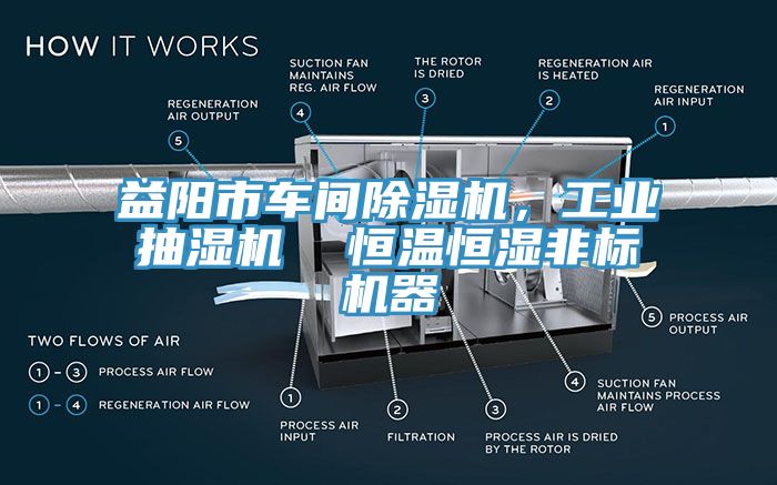 益陽市車間除濕機，工業(yè)抽濕機  恒溫恒濕非標機器