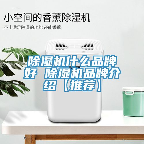 除濕機(jī)什么品牌好 除濕機(jī)品牌介紹【推薦】