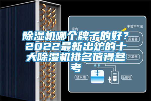 除濕機哪個牌子的好？2022最新出爐的十大除濕機排名值得參考