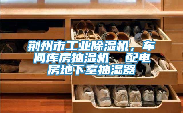 荊州市工業(yè)除濕機，車間庫房抽濕機  配電房地下室抽濕器