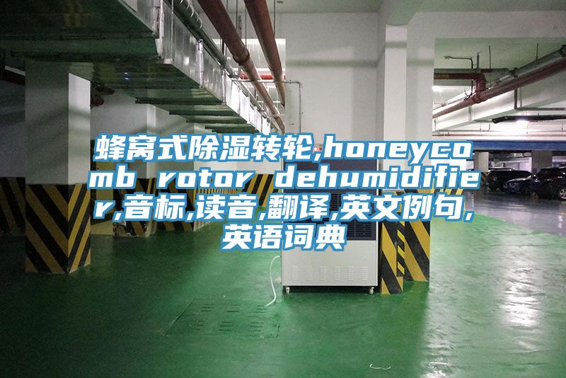 蜂窩式除濕轉(zhuǎn)輪,honeycomb rotor dehumidifier,音標,讀音,翻譯,英文例句,英語詞典