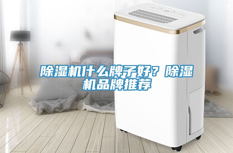 除濕機什么牌子好？除濕機品牌推薦