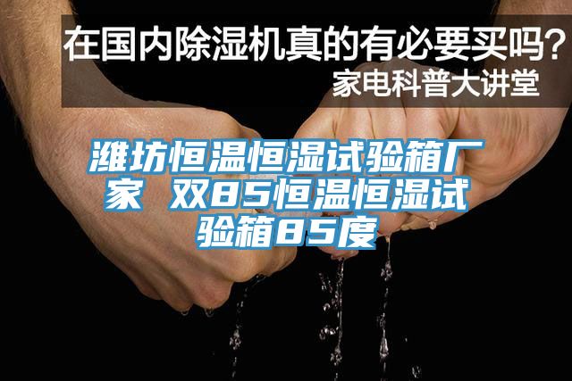 濰坊恒溫恒濕試驗(yàn)箱廠家 雙85恒溫恒濕試驗(yàn)箱85度