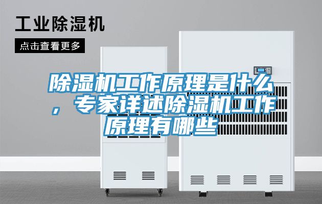 除濕機工作原理是什么，專家詳述除濕機工作原理有哪些