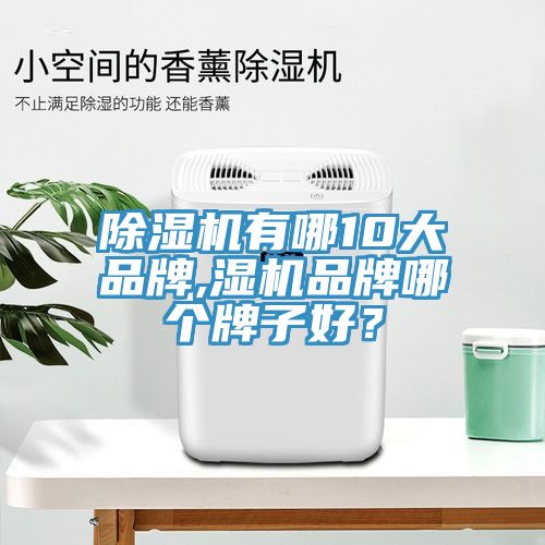 除濕機(jī)有哪10大品牌,濕機(jī)品牌哪個牌子好？