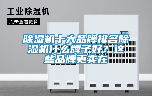 除濕機十大品牌排名除濕機什么牌子好？這些品牌更實在