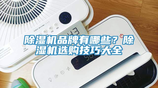 除濕機品牌有哪些？除濕機選購技巧大全