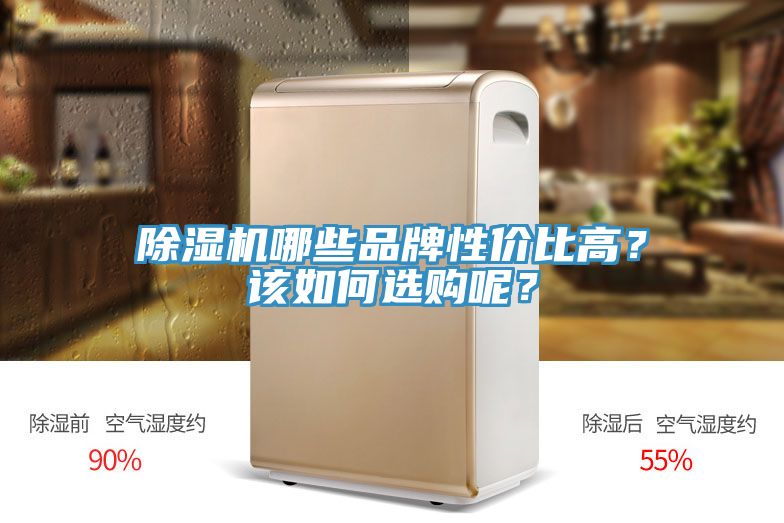 除濕機(jī)哪些品牌性價比高？該如何選購呢？