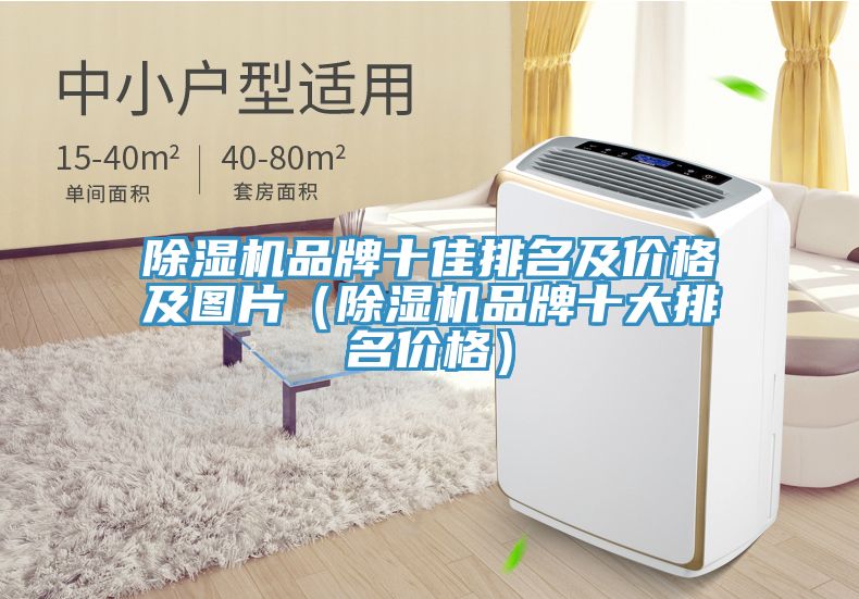 除濕機(jī)品牌十佳排名及價格及圖片（除濕機(jī)品牌十大排名價格）