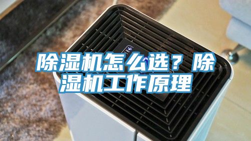 除濕機怎么選？除濕機工作原理