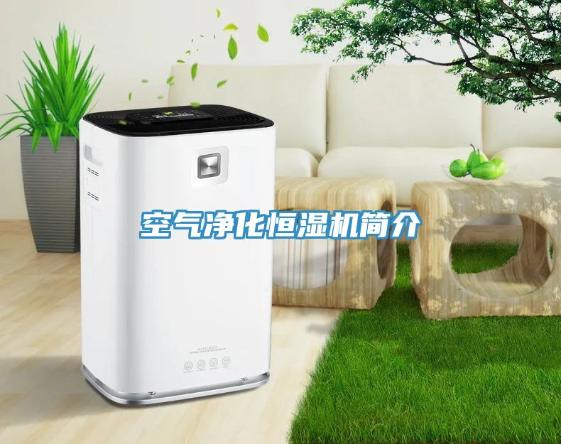 空氣凈化恒濕機(jī)簡(jiǎn)介