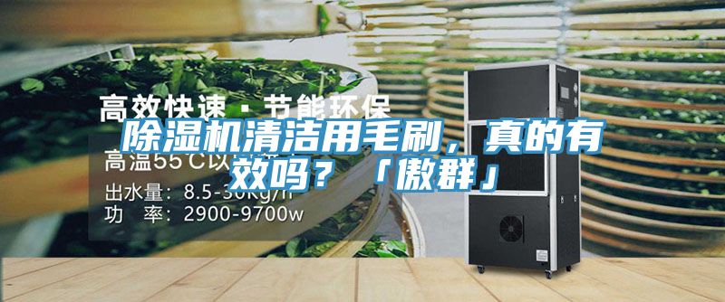 除濕機(jī)清潔用毛刷，真的有效嗎？「傲群」