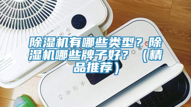 除濕機有哪些類型？除濕機哪些牌子好？（精品推薦）