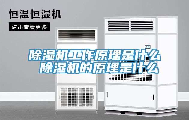 除濕機工作原理是什么 除濕機的原理是什么