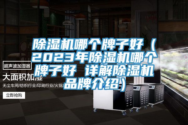 除濕機(jī)哪個(gè)牌子好（2023年除濕機(jī)哪個(gè)牌子好 詳解除濕機(jī)品牌介紹）