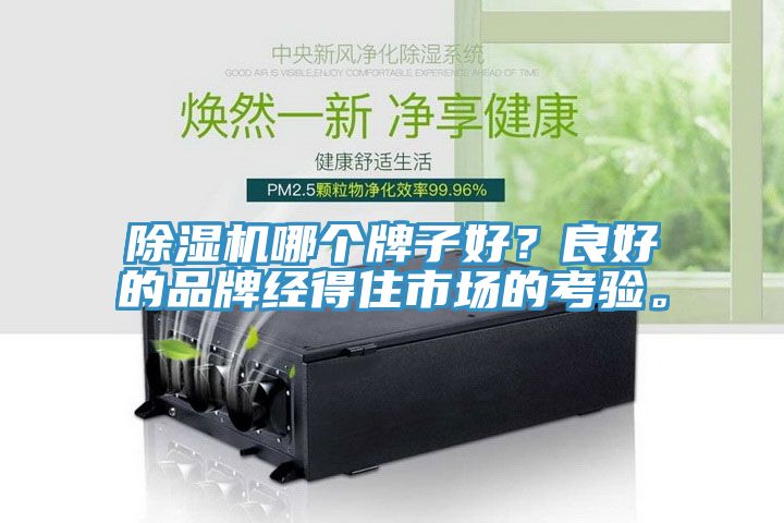 除濕機哪個牌子好？良好的品牌經(jīng)得住市場的考驗。